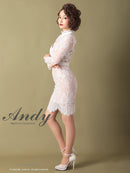 Andy/AN-OK2550/ワンピース/ミニドレス/ワンカラー/総レース/タイトワンピース/袖あり