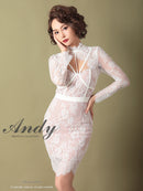 Andy/AN-OK2550/ワンピース/ミニドレス/ワンカラー/総レース/タイトワンピース/袖あり
