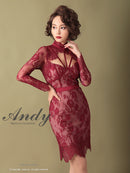 Andy/AN-OK2550/ワンピース/ミニドレス/ワンカラー/総レース/タイトワンピース/袖あり