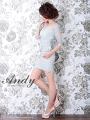 Andy/AN-OK2570/ナイトドレス/キャバドレス/ドレス/ワンピース/ミニドレス/総レース/ペプラム/袖あり