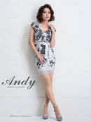 Andy/AN-OK2584/ワンピース/ミニドレス/総レース/ウエストリボン/キャバドレス