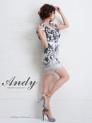 Andy/AN-OK2584/ワンピース/ミニドレス/総レース/ウエストリボン/キャバドレス