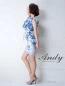 Andy/AN-OK2584/ワンピース/ミニドレス/総レース/ウエストリボン/キャバドレス