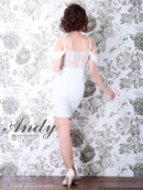 Andy/AN-OK2602/ワンピース/キャバドレス/キャバ嬢/タイトワンピース