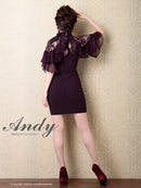 Andy/AN-OK2620/ワンピース/ドレス/ナイトドレス/ミニドレス/キャバドレス/レース/袖あり/星咲るい着用