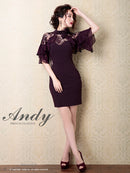 Andy/AN-OK2620/ワンピース/ドレス/ナイトドレス/ミニドレス/キャバドレス/レース/袖あり/星咲るい着用