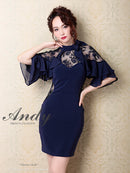 Andy/AN-OK2620/ワンピース/ドレス/ナイトドレス/ミニドレス/キャバドレス/レース/袖あり/星咲るい着用