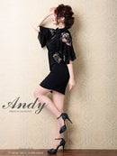 Andy/AN-OK2620/ワンピース/ドレス/ナイトドレス/ミニドレス/キャバドレス/レース/袖あり/星咲るい着用