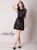 Andy/AN-OK2648/キャバドレス/総レース/Aライン/ウエストリボン