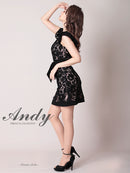 Andy/AN-OK2648/キャバドレス/総レース/Aライン/ウエストリボン