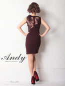Andy/AN-OK2649/ワンピース/ミニドレス/レース/キャバドレス/ノースリーブ/ワンカラー