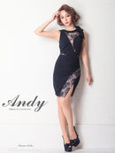 Andy/AN-OK2649/ワンピース/ミニドレス/レース/キャバドレス/ノースリーブ/ワンカラー