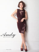 Andy/AN-OK2649/ワンピース/ミニドレス/レース/キャバドレス/ノースリーブ/ワンカラー