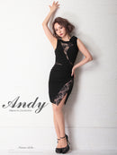 Andy/AN-OK2649/ワンピース/ミニドレス/レース/キャバドレス/ノースリーブ/ワンカラー