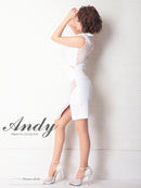 Andy/AN-OK2649/ワンピース/ミニドレス/レース/キャバドレス/ノースリーブ/ワンカラー