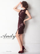 Andy/AN-OK2649/ワンピース/ミニドレス/レース/キャバドレス/ノースリーブ/ワンカラー