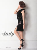 Andy/AN-OK2649/ワンピース/ミニドレス/レース/キャバドレス/ノースリーブ/ワンカラー