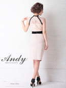Andy/AN-OK2656/ワンピース/ミニドレス/ワンカラー/レース/タイトワンピース/ウエストリボン