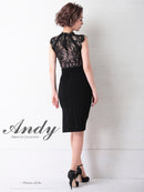 Andy/AN-OK2656/ワンピース/ミニドレス/ワンカラー/レース/タイトワンピース/ウエストリボン
