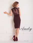 Andy/AN-OK2656/ワンピース/ミニドレス/ワンカラー/レース/タイトワンピース/ウエストリボン