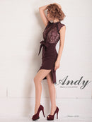 Andy/AN-OK2656/ワンピース/ミニドレス/ワンカラー/レース/タイトワンピース/ウエストリボン