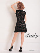 Andy/AN-OK2659/ワンピース/ミニドレス/総レース/フラワーレース
