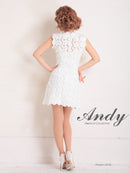 Andy/AN-OK2659/ワンピース/ミニドレス/総レース/フラワーレース