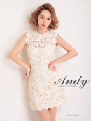 Andy/AN-OK2659/ワンピース/ミニドレス/総レース/フラワーレース