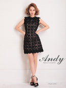 Andy/AN-OK2659/ワンピース/ミニドレス/総レース/フラワーレース