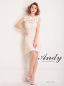 Andy/AN-OK2659/ワンピース/ミニドレス/総レース/フラワーレース