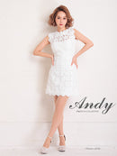 Andy/AN-OK2659/ワンピース/ミニドレス/総レース/フラワーレース