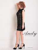 Andy/AN-OK2659/ワンピース/ミニドレス/総レース/フラワーレース