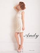 Andy/AN-OK2659/ワンピース/ミニドレス/総レース/フラワーレース