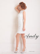 Andy/AN-OK2659/ワンピース/ミニドレス/総レース/フラワーレース