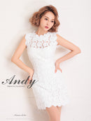 Andy/AN-OK2659/ワンピース/ミニドレス/総レース/フラワーレース