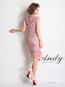 Andy/AN-OK2665/ワンピース/ミニドレス/レース/キャバドレス