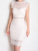 Andy/AN-OK2665/ワンピース/ミニドレス/レース/キャバドレス