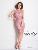 Andy/AN-OK2665/ワンピース/ミニドレス/レース/キャバドレス