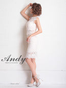 Andy/AN-OK2665/ワンピース/ミニドレス/レース/キャバドレス
