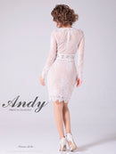 Andy/AN-OK2673/ワンピース/ミニドレス/ワンカラー/タイトワンピース/総レース/袖あり/長袖ワンピース