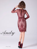 Andy/AN-OK2673/ワンピース/ミニドレス/ワンカラー/タイトワンピース/総レース/袖あり/長袖ワンピース