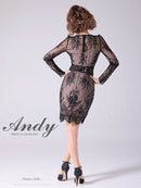 Andy/AN-OK2673/ワンピース/ミニドレス/ワンカラー/タイトワンピース/総レース/袖あり/長袖ワンピース