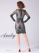 Andy/AN-OK2673/ワンピース/ミニドレス/ワンカラー/タイトワンピース/総レース/袖あり/長袖ワンピース