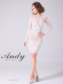 Andy/AN-OK2673/ワンピース/ミニドレス/ワンカラー/タイトワンピース/総レース/袖あり/長袖ワンピース