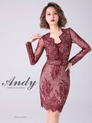 Andy/AN-OK2673/ワンピース/ミニドレス/ワンカラー/タイトワンピース/総レース/袖あり/長袖ワンピース