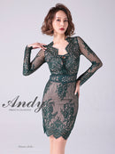 Andy/AN-OK2673/ワンピース/ミニドレス/ワンカラー/タイトワンピース/総レース/袖あり/長袖ワンピース