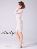Andy/AN-OK2673/ワンピース/ミニドレス/ワンカラー/タイトワンピース/総レース/袖あり/長袖ワンピース