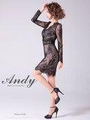 Andy/AN-OK2673/ワンピース/ミニドレス/ワンカラー/タイトワンピース/総レース/袖あり/長袖ワンピース