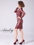 Andy/AN-OK2673/ワンピース/ミニドレス/ワンカラー/タイトワンピース/総レース/袖あり/長袖ワンピース