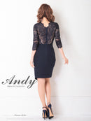 Andy/AN-OK2685/ワンピース/ミニドレス/タイトワンピース/アクセサリー付き/袖あり/レース/ワンカラー